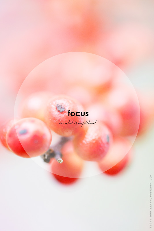 eefphotography.com | blog | focus on what is important #quote #quotes #focus