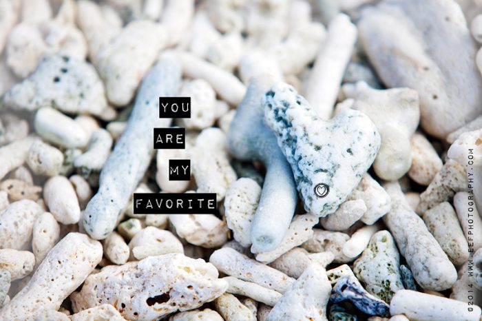 www.eefphotography.com | blog | you are my favorite #quote #valentine